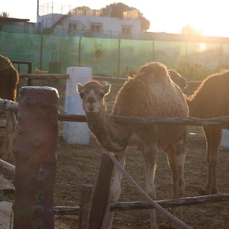 Penzion La Granja Tétouan Exteriér fotografie