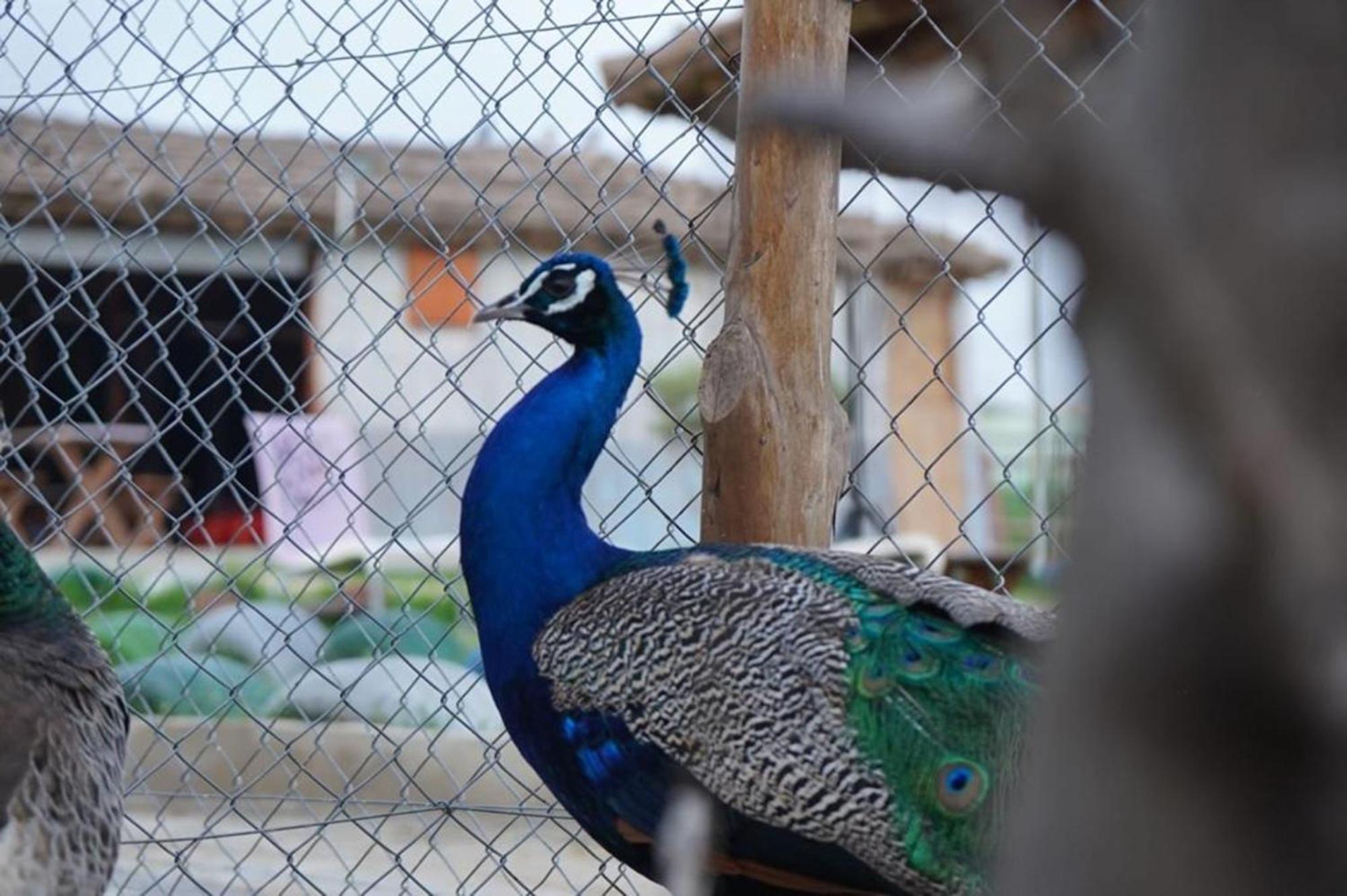 Penzion La Granja Tétouan Exteriér fotografie