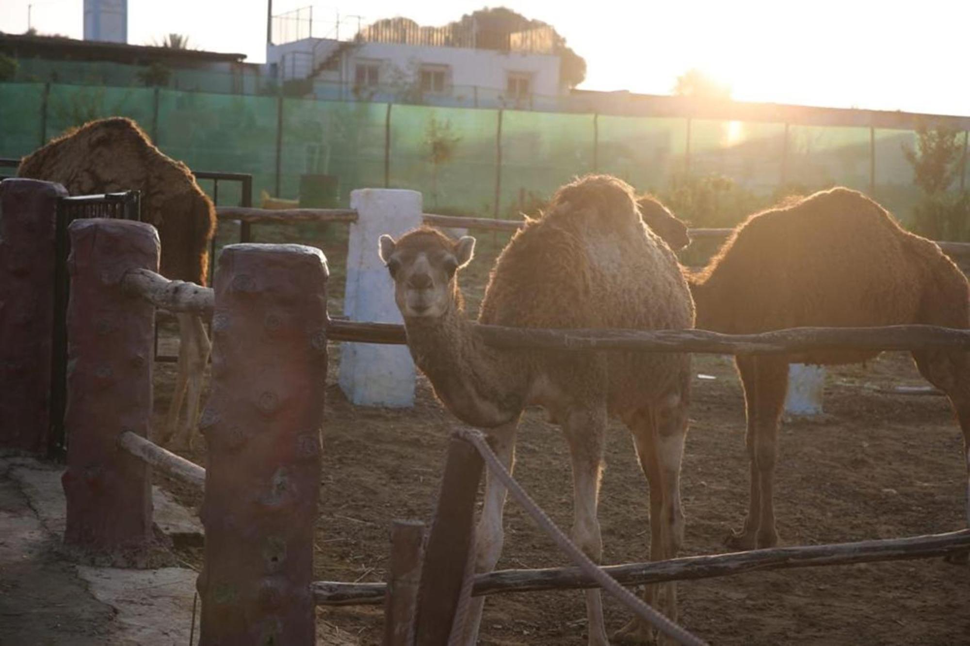 Penzion La Granja Tétouan Exteriér fotografie