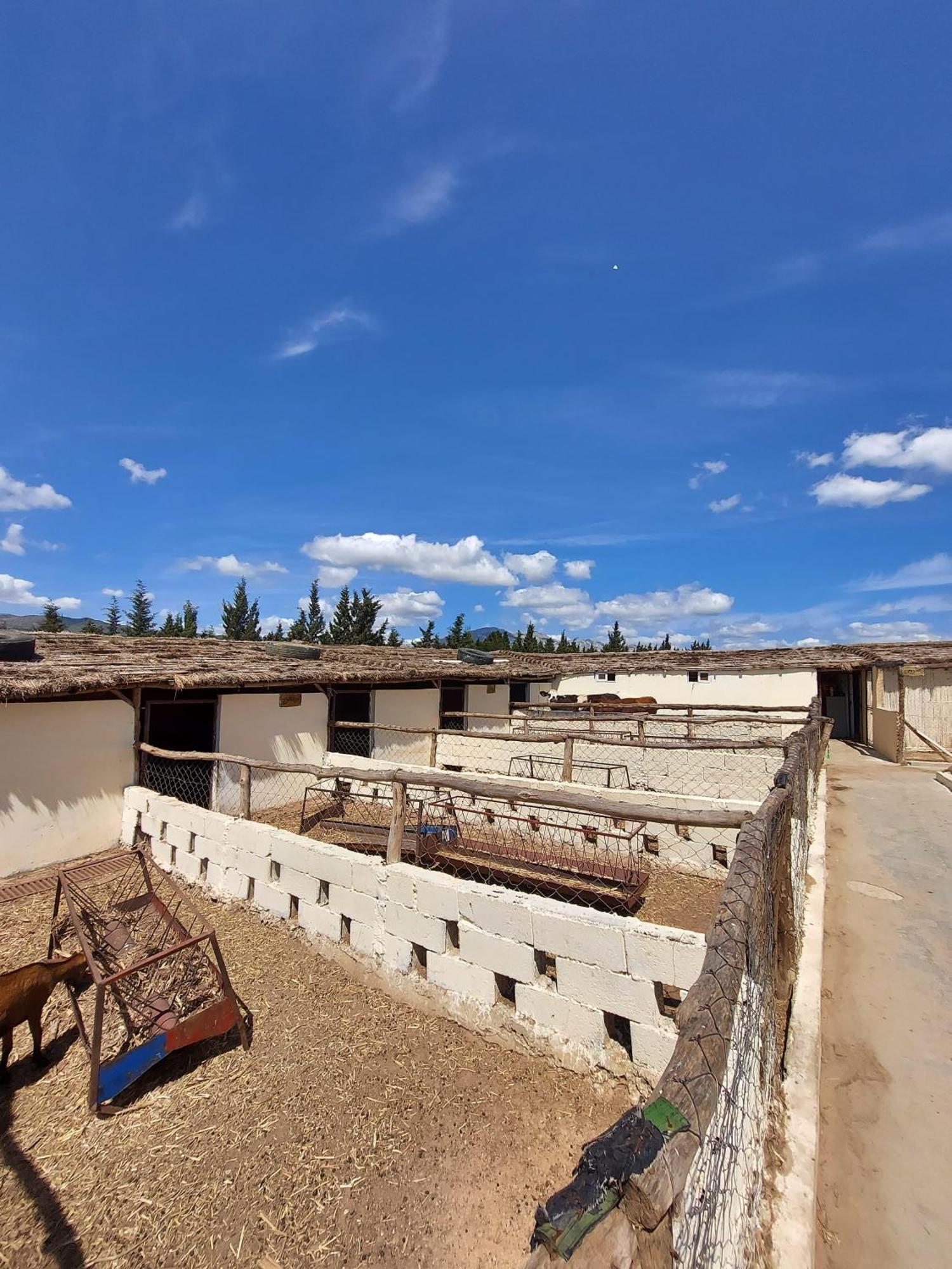 Penzion La Granja Tétouan Exteriér fotografie