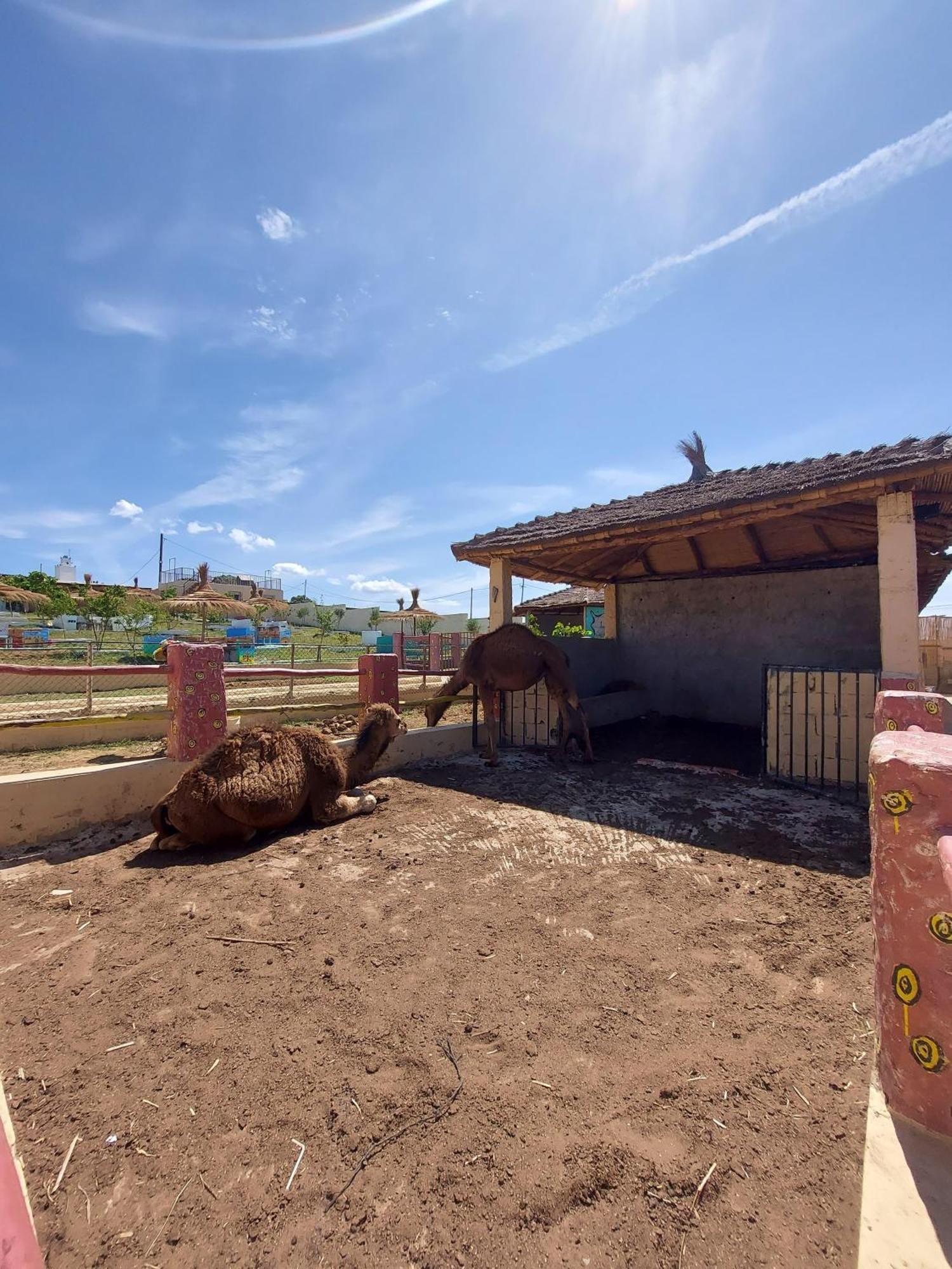 Penzion La Granja Tétouan Exteriér fotografie